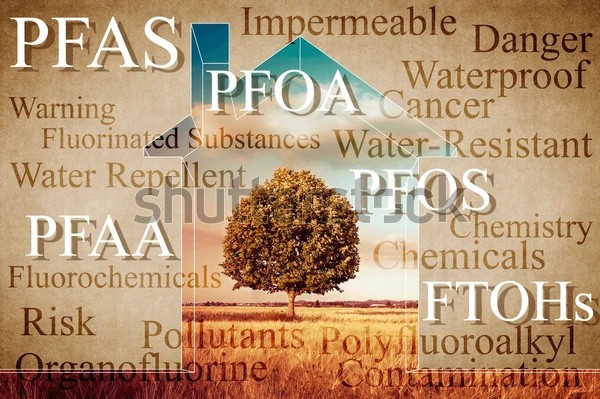 PFAS in society